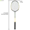 ALPSPORT 2PCS 6U LION BADMINTON RACKET