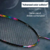 ALPSPORT 4U Rainbow Badminton Racket-XC